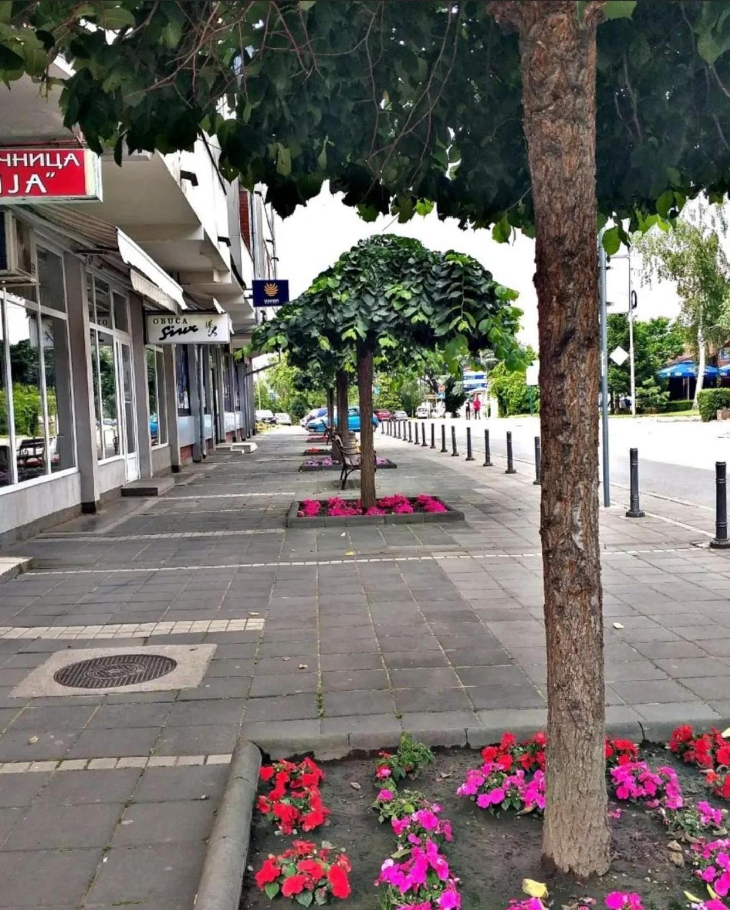 Apartmani Koki Кладово Екстер'єр фото